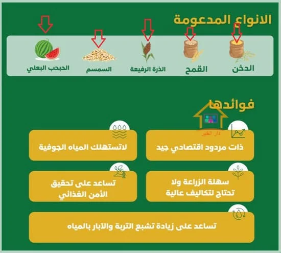 الاستعلام عن المقبولين في دعم ريف 1444 7 من يستحق دعم ريف